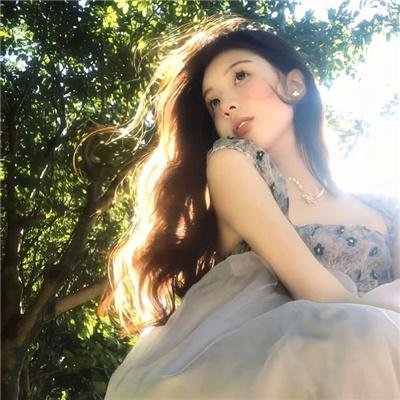 夏绿蒂的网